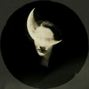 moonlight-allure avatar