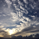 moonlight-dark avatar