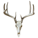 moonlightfemme avatar