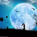 moonlightreader649 avatar
