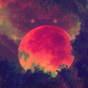 moonlightsonata04 avatar