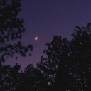 moonlightstuffs avatar