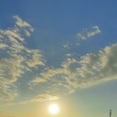 moonlighttresses avatar