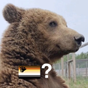 moonlit-dreamers avatar