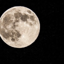 moonshineonme avatar