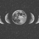 moonshinetraveler avatar