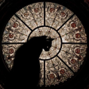 moonss-and-stars avatar