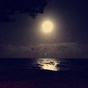 moonstarkisses avatar