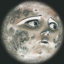 moonstarsandpoetrybooks avatar