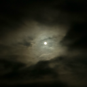 moonstrucklilly avatar