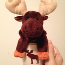 mooseinacup avatar