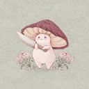 mooshymushrooms avatar