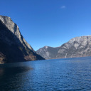 morganohmorgan avatar