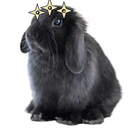 moribunny avatar