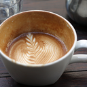 mossterrarium avatar