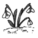 mossy-brains avatar