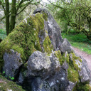 mossyrockk123 avatar