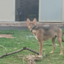 mother-of-all-monsters avatar