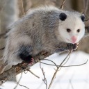 motherfucker-is-gender-neutral avatar