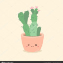 motherofsucculents avatar