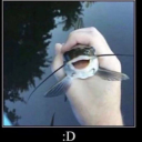 mottledmongrel avatar