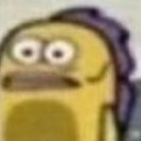 moved1039w0r9 avatar