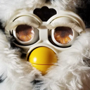 movedtofuhfurby avatar