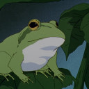 mr-ribbit avatar