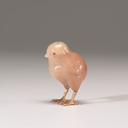 mrbenjaminkirchhoff avatar