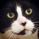 mrcharliechew avatar