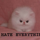 mrowsaysthecat avatar