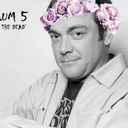 mrs-mark-sheppard avatar