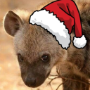 mrsterlingeverything avatar