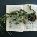 muitlfandomic avatar