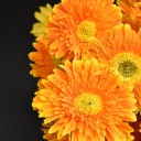 multaplicativemikemike4 avatar