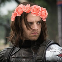 multi-fandomshit avatar