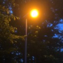 multipleelephants avatar