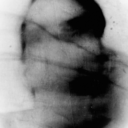 mundussenescitiv avatar