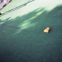 murakami-chiaki-yamada avatar