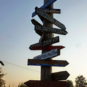 musclebulls4you-blog avatar