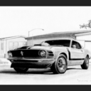 musclecarpluschicks avatar