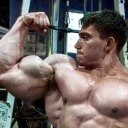 musclefan338 avatar