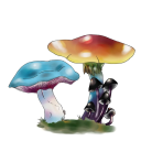 mushroom-grey-scale avatar