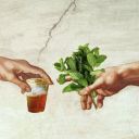 mushroomsource avatar