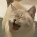 musicals-an-stuff avatar