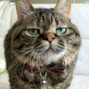 mutantmandalina avatar