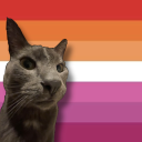 mutantmayhemfan avatar