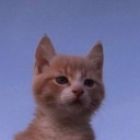 muzlu-milkshake avatar