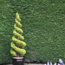 my-camera-conjures avatar