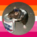 my-chemical-ratz avatar